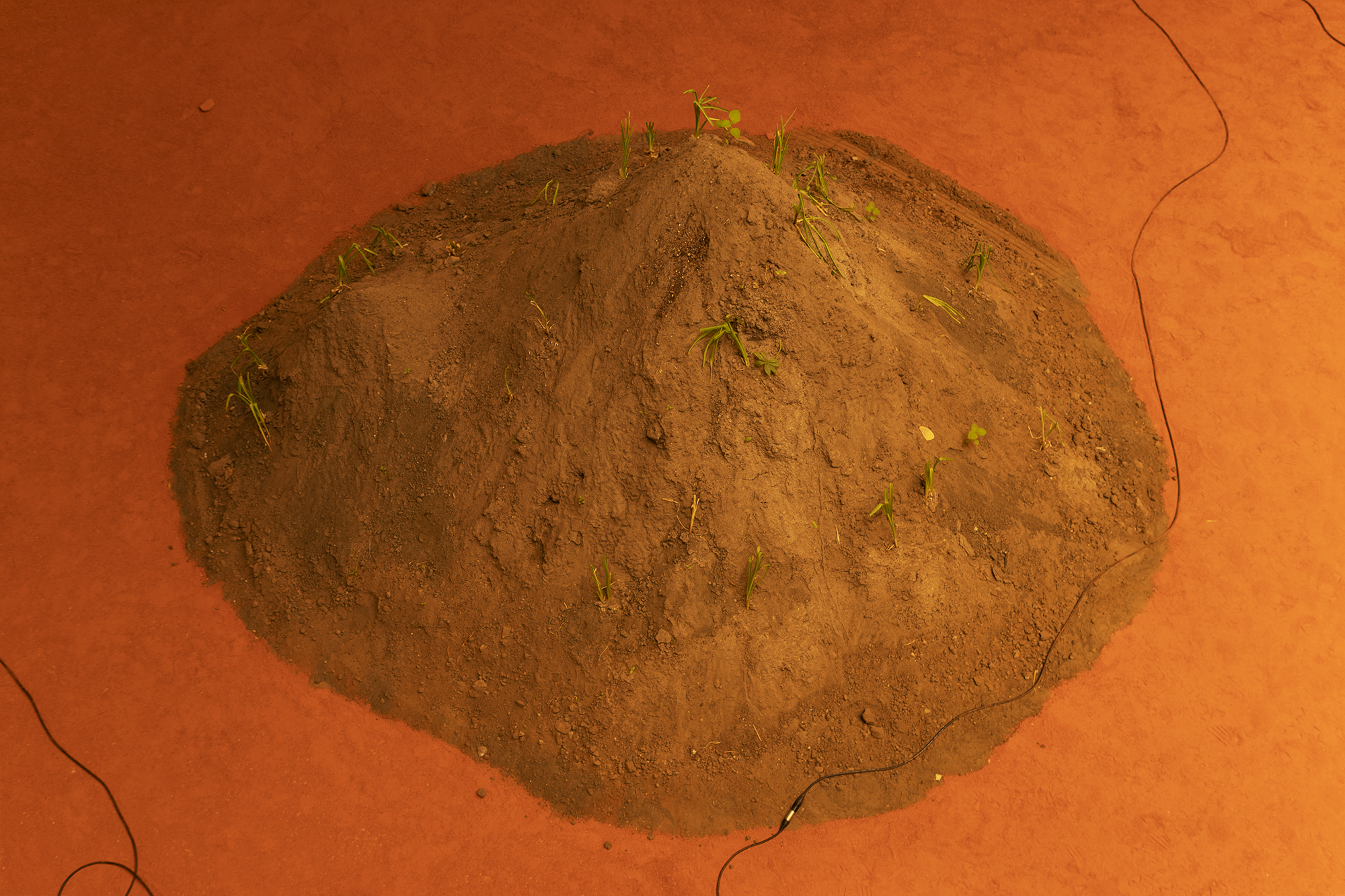 those that slip among molecules - kim bode 